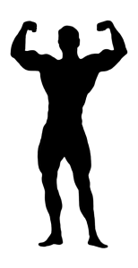 személyi edzés szeged tömegnövelés